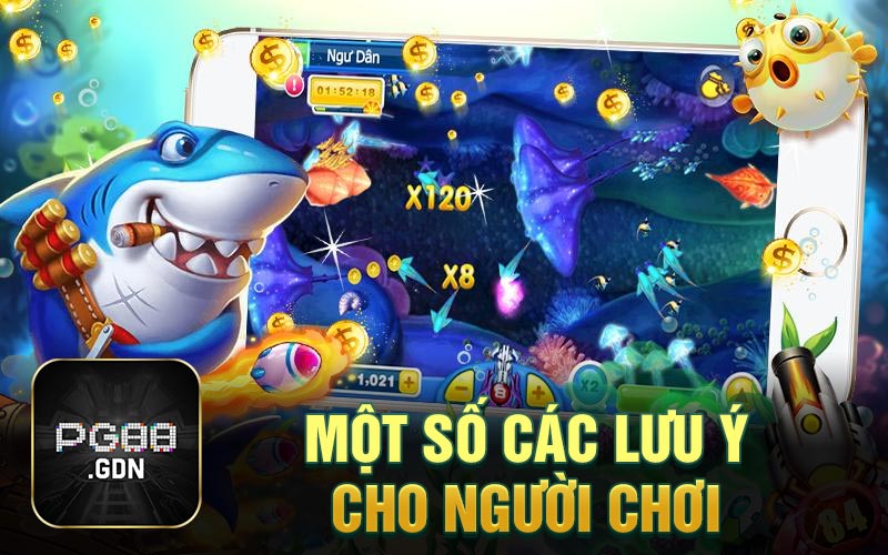 Một số các lưu ý cho người chơi