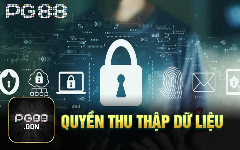 Quyền thu thập dữ liệu